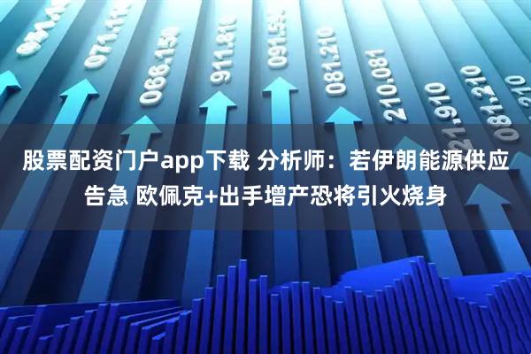 股票配资门户app下载 分析师：若伊朗能源供应告急 欧佩克+出手增产恐将引火烧身