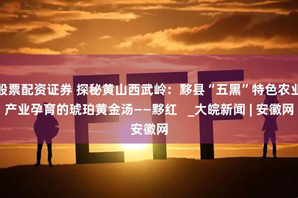 股票配资证券 探秘黄山西武岭：黟县“五黑”特色农业产业孕育的琥珀黄金汤——黟红   _大皖新闻 | 安徽网